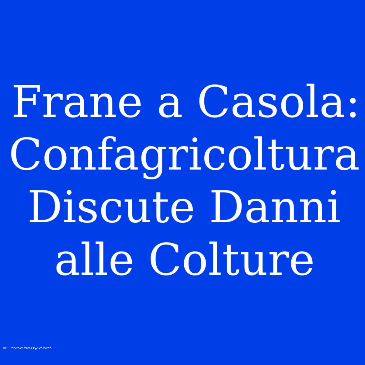 Frane A Casola: Confagricoltura Discute Danni Alle Colture 