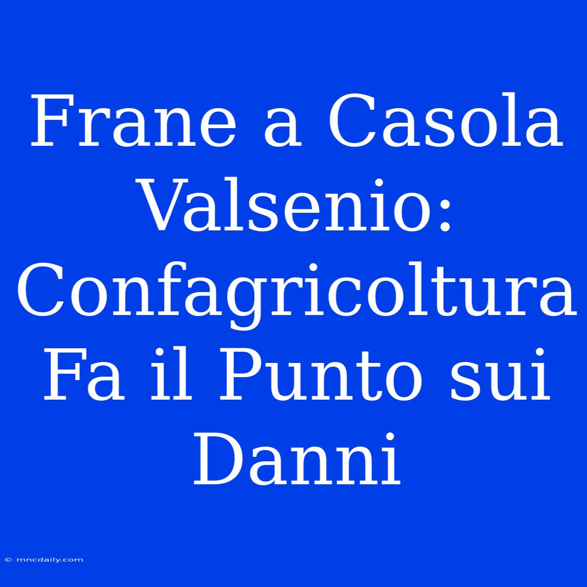 Frane A Casola Valsenio: Confagricoltura Fa Il Punto Sui Danni