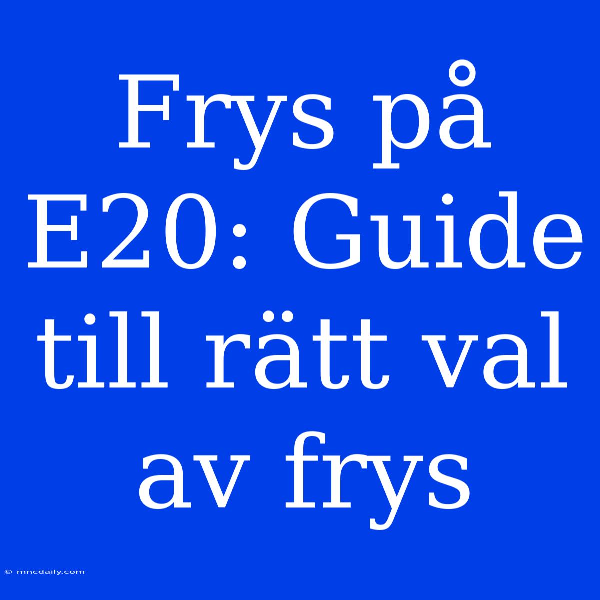 Frys På E20: Guide Till Rätt Val Av Frys