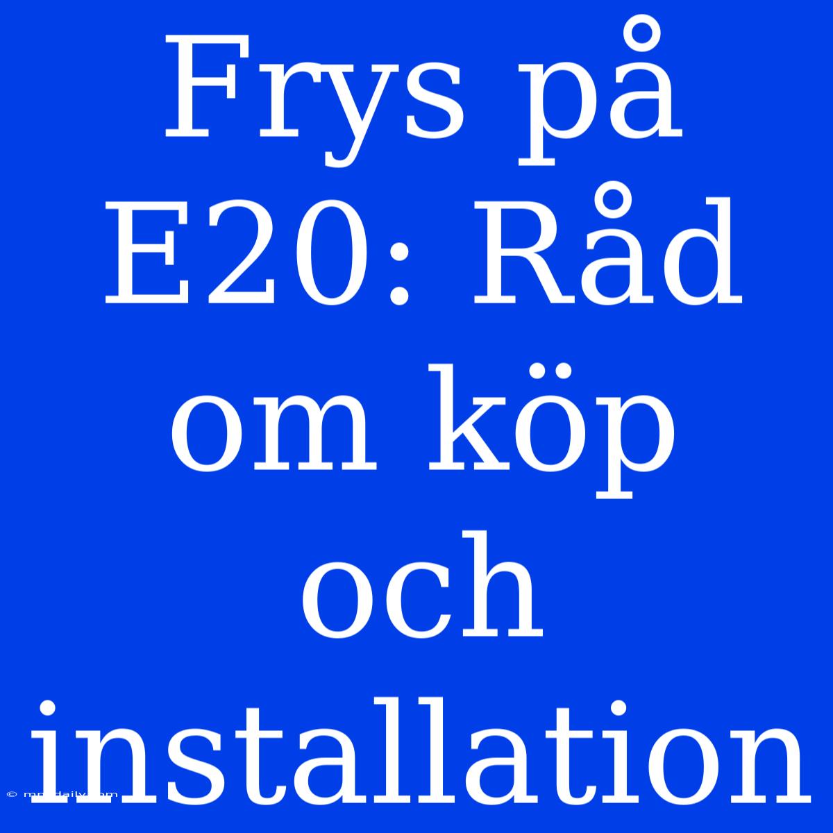 Frys På E20: Råd Om Köp Och Installation