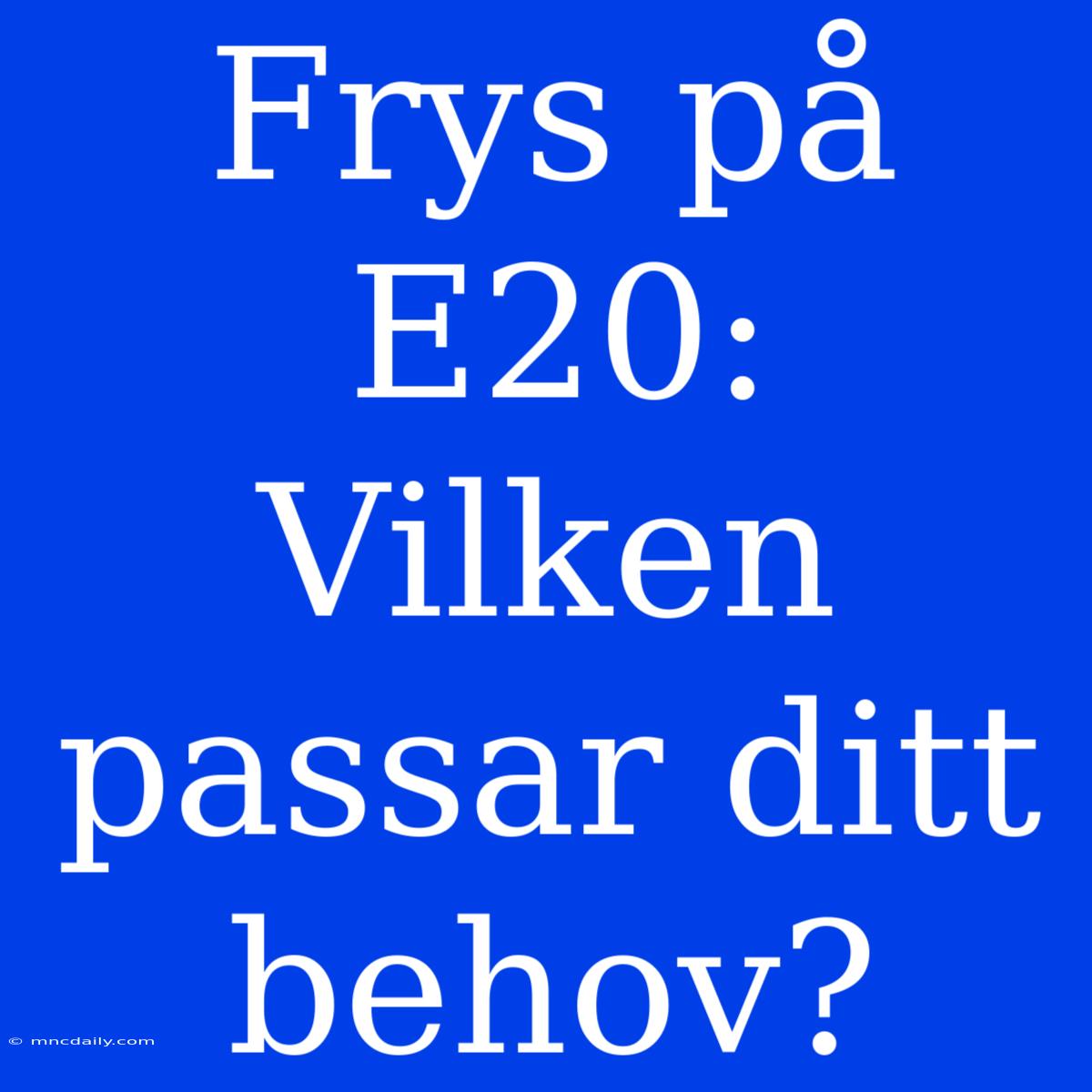 Frys På E20: Vilken Passar Ditt Behov?