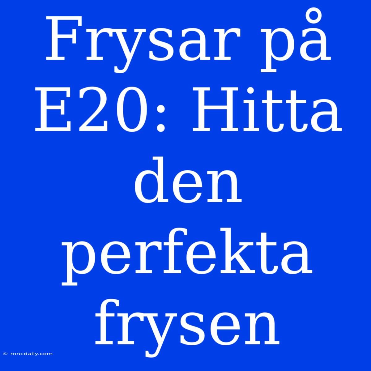 Frysar På E20: Hitta Den Perfekta Frysen