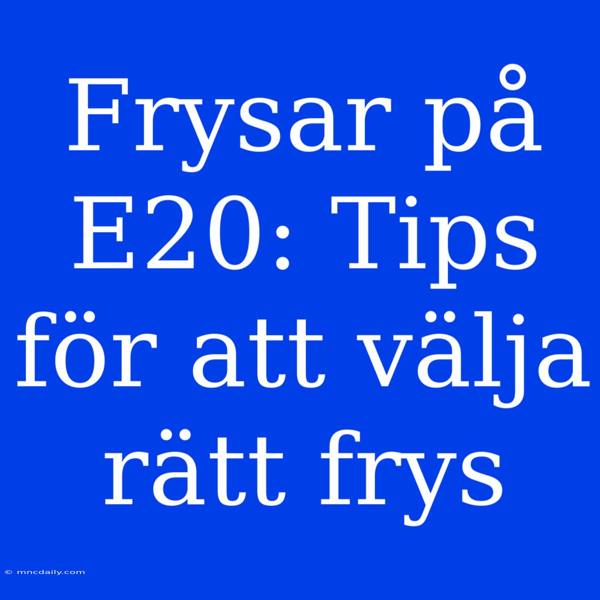 Frysar På E20: Tips För Att Välja Rätt Frys