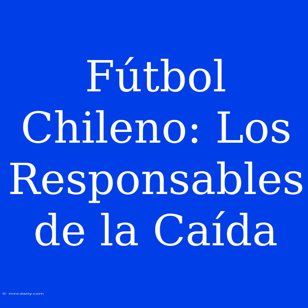 Fútbol Chileno: Los Responsables De La Caída