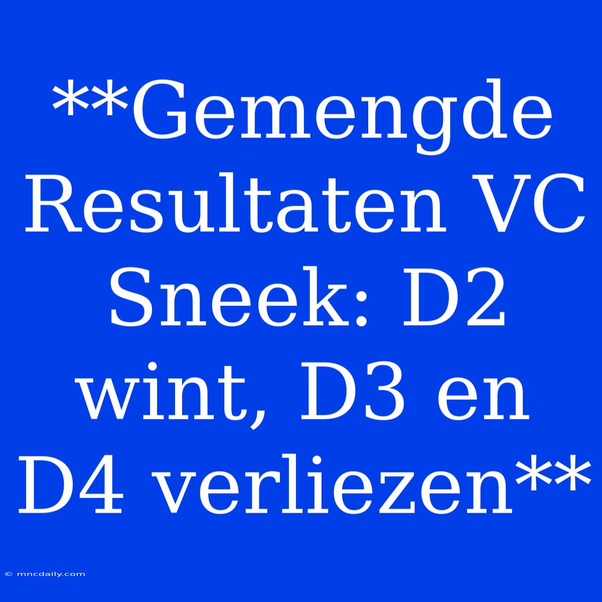 **Gemengde Resultaten VC Sneek: D2 Wint, D3 En D4 Verliezen**