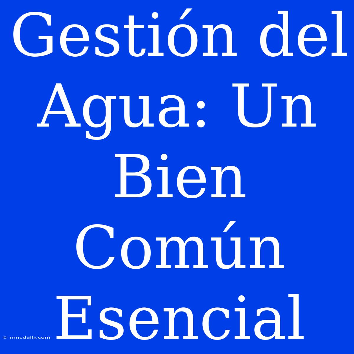 Gestión Del Agua: Un Bien Común Esencial