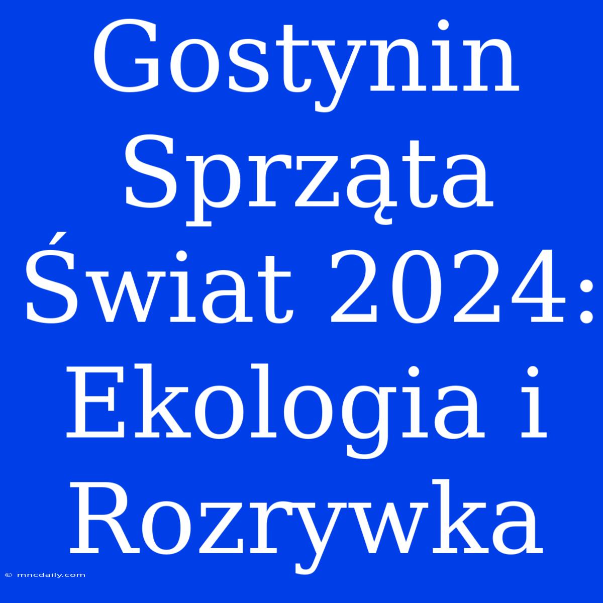 Gostynin Sprząta Świat 2024: Ekologia I Rozrywka