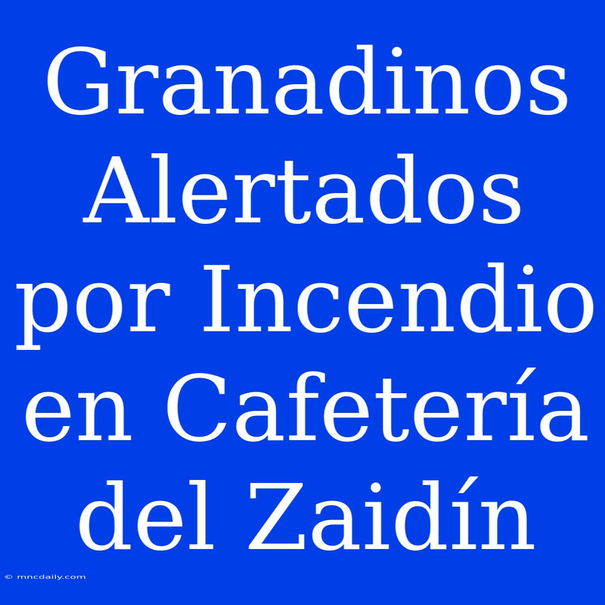 Granadinos Alertados Por Incendio En Cafetería Del Zaidín