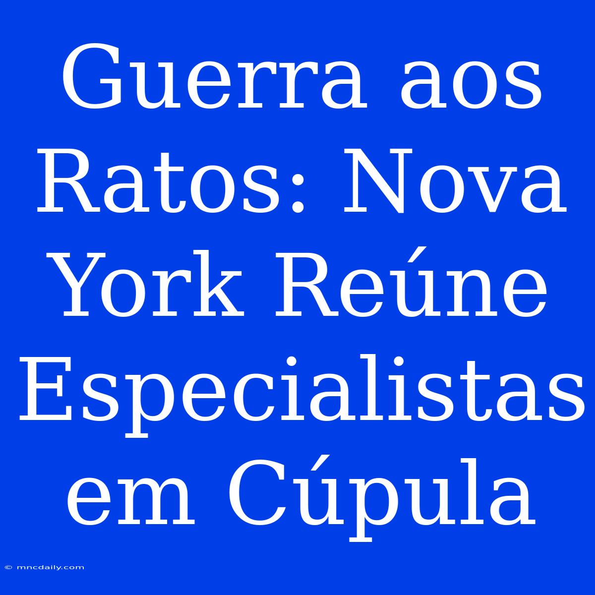 Guerra Aos Ratos: Nova York Reúne Especialistas Em Cúpula