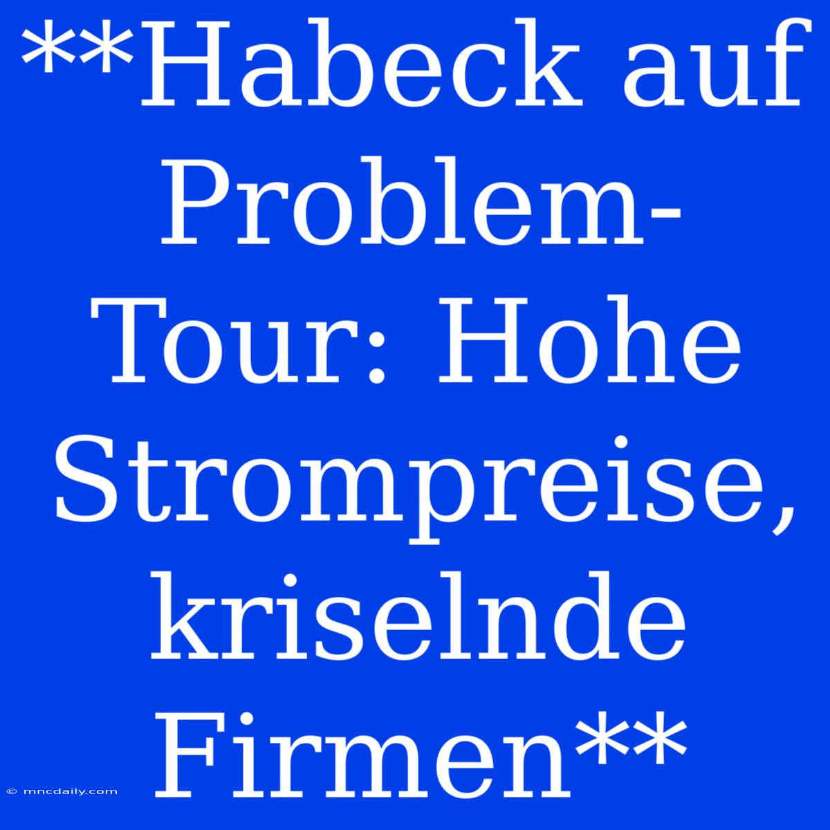 **Habeck Auf Problem-Tour: Hohe Strompreise, Kriselnde Firmen**