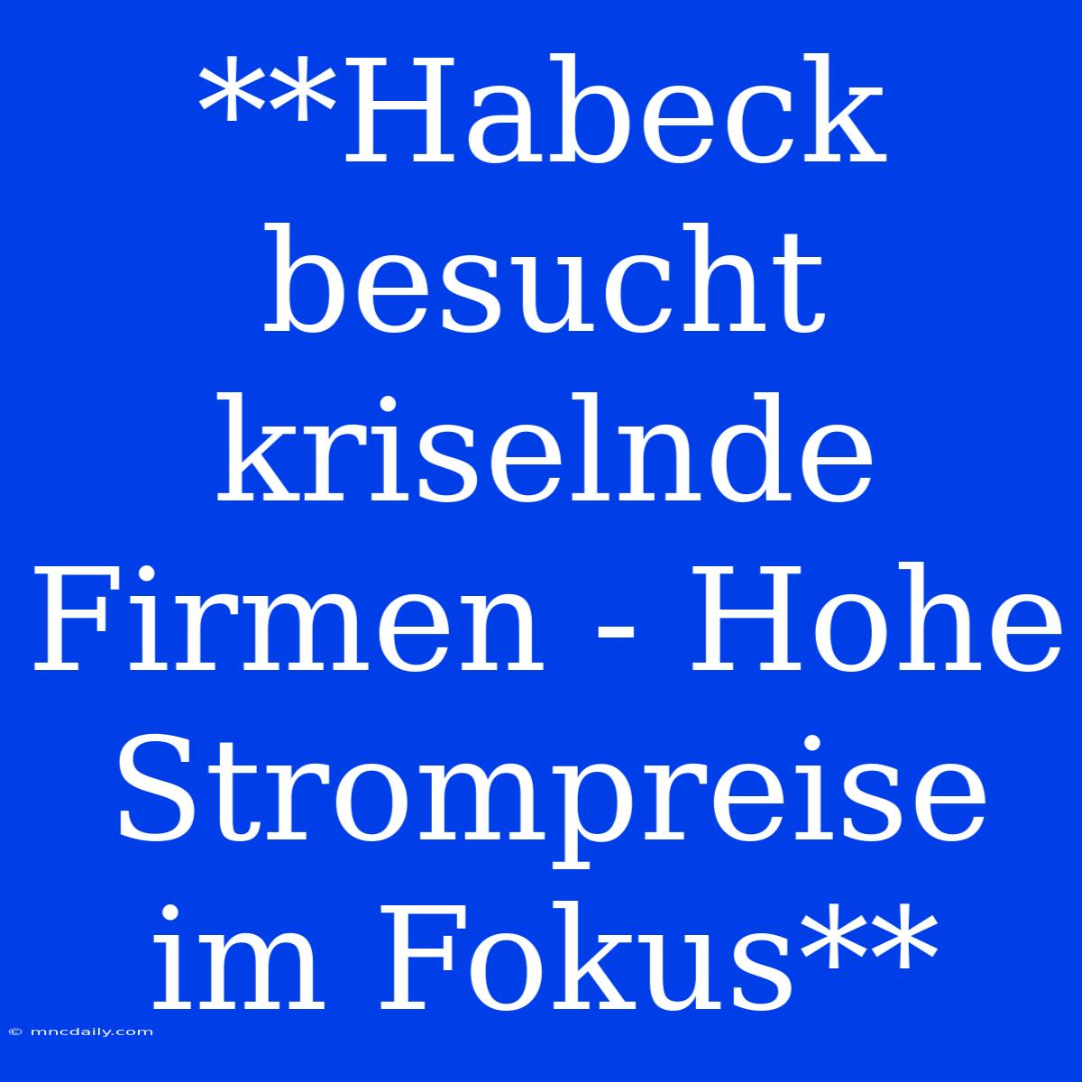 **Habeck Besucht Kriselnde Firmen - Hohe Strompreise Im Fokus**