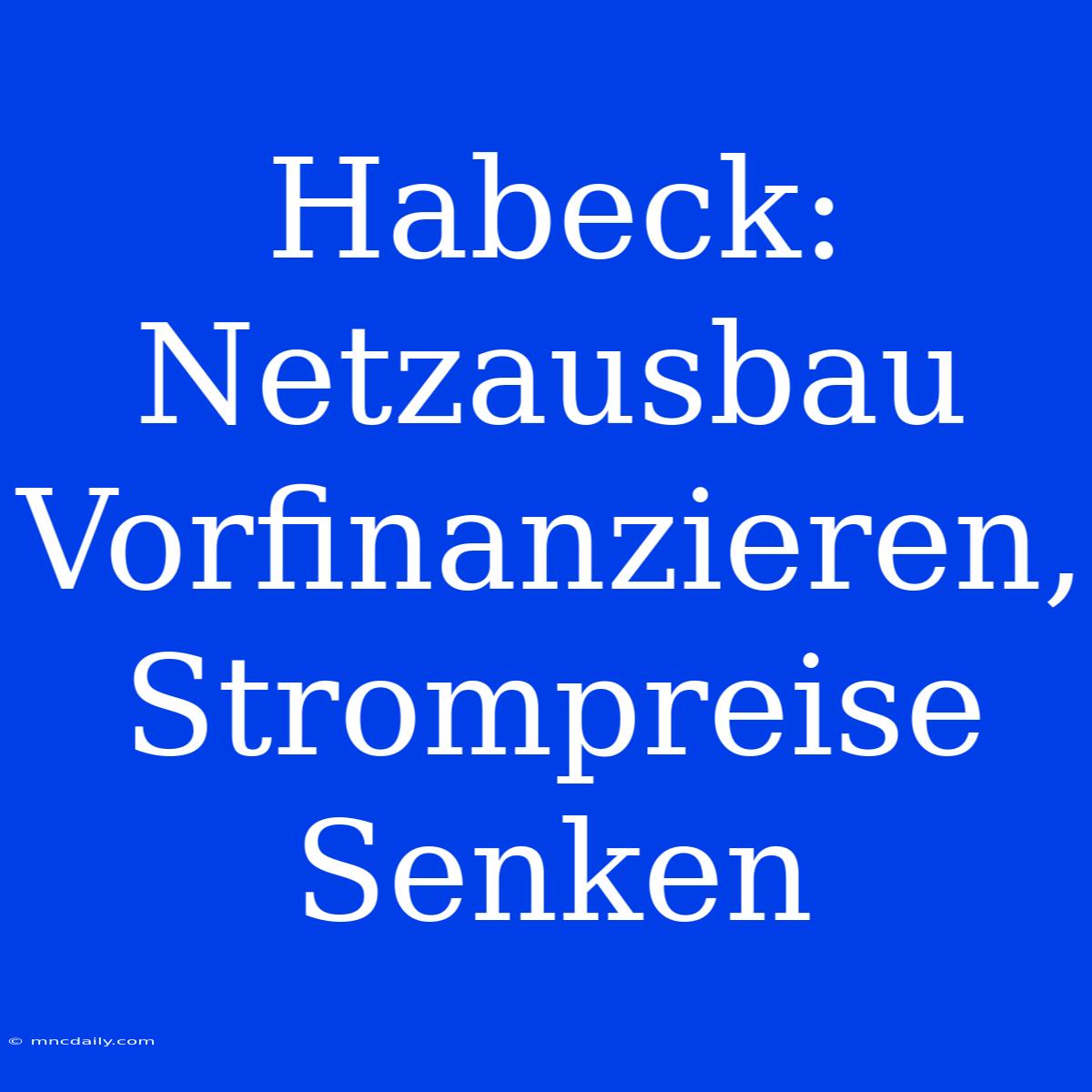 Habeck: Netzausbau Vorfinanzieren, Strompreise Senken