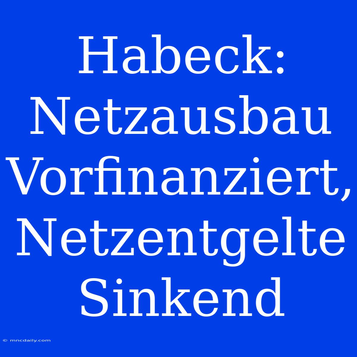 Habeck: Netzausbau Vorfinanziert, Netzentgelte Sinkend