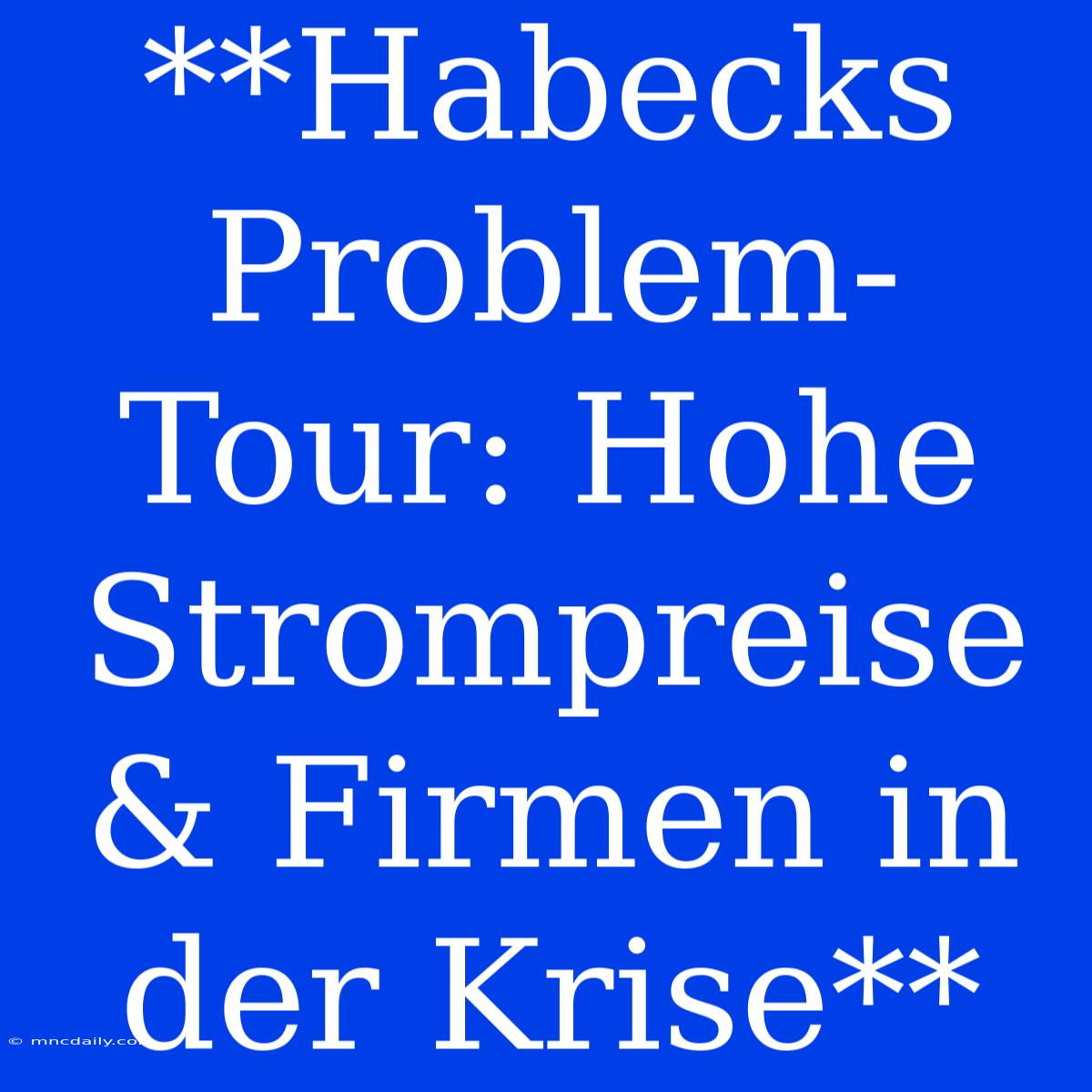 **Habecks Problem-Tour: Hohe Strompreise & Firmen In Der Krise**