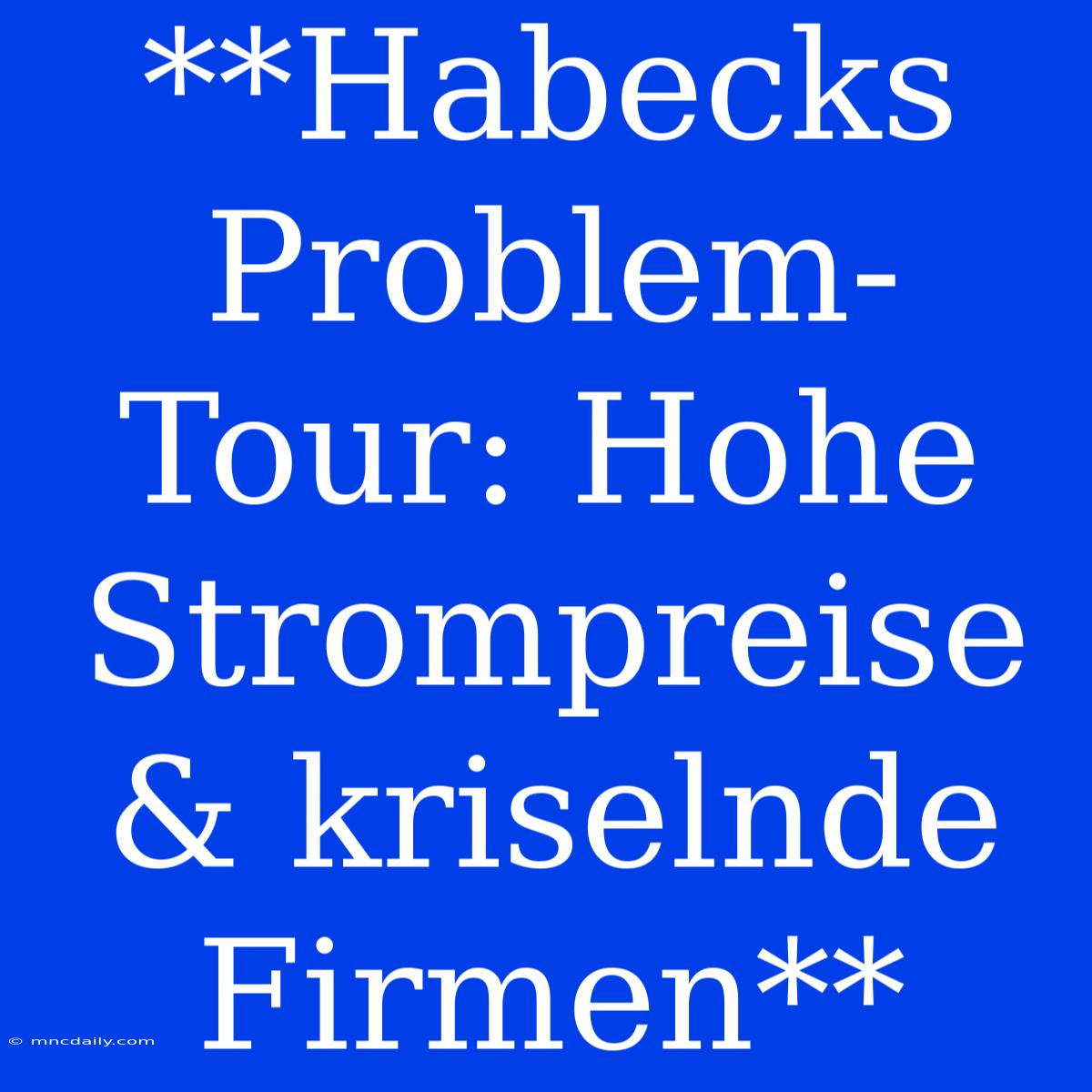 **Habecks Problem-Tour: Hohe Strompreise & Kriselnde Firmen**