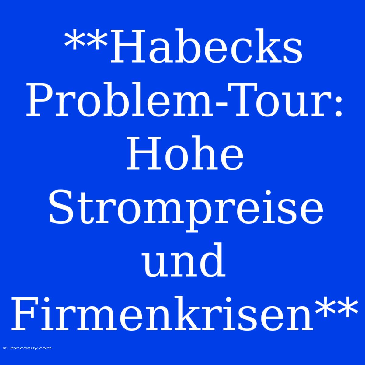 **Habecks Problem-Tour: Hohe Strompreise Und Firmenkrisen**