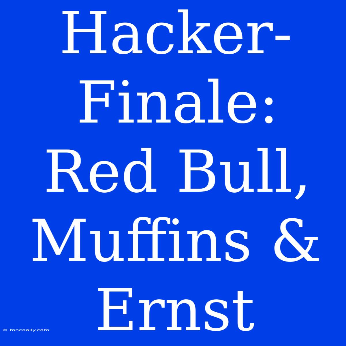 Hacker-Finale: Red Bull, Muffins & Ernst