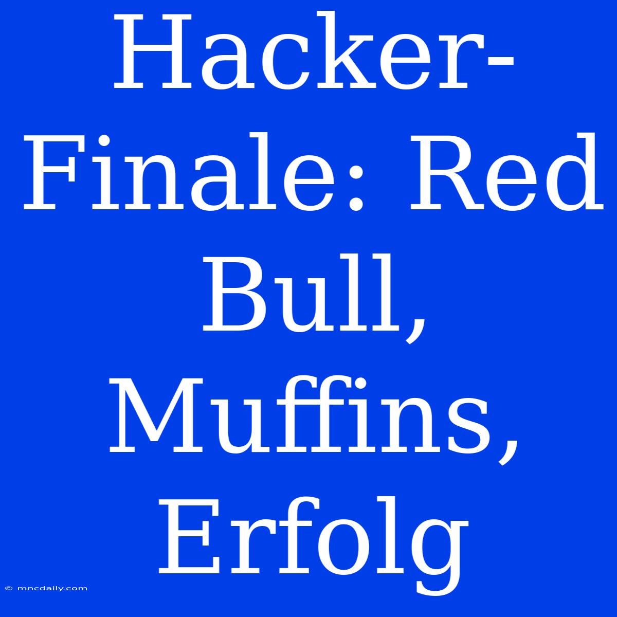 Hacker-Finale: Red Bull, Muffins, Erfolg