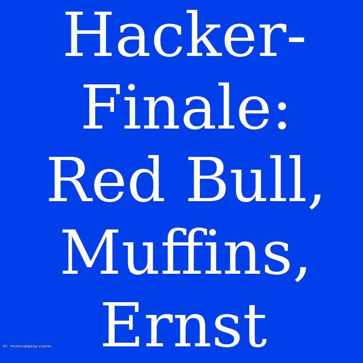 Hacker-Finale: Red Bull, Muffins, Ernst