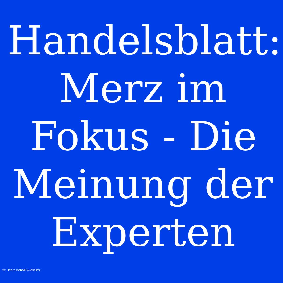 Handelsblatt: Merz Im Fokus - Die Meinung Der Experten