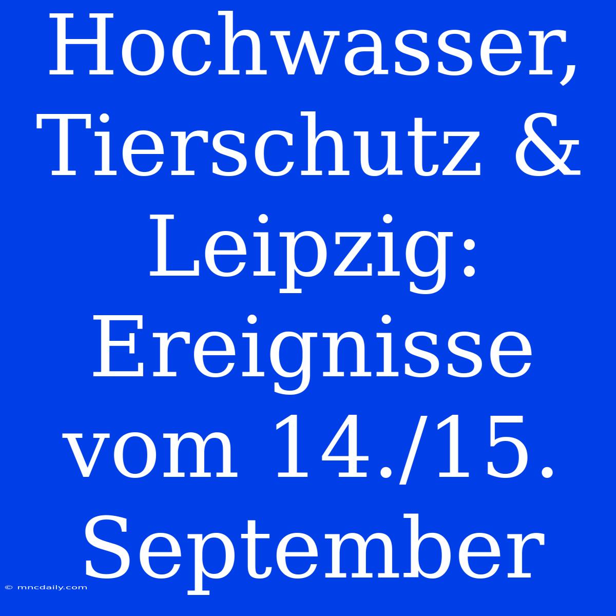 Hochwasser, Tierschutz & Leipzig: Ereignisse Vom 14./15. September