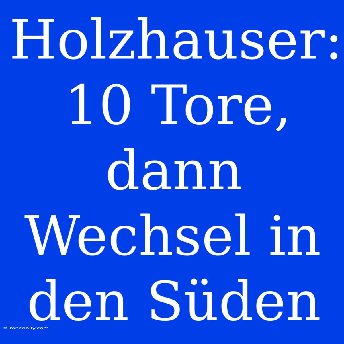 Holzhauser: 10 Tore, Dann Wechsel In Den Süden 