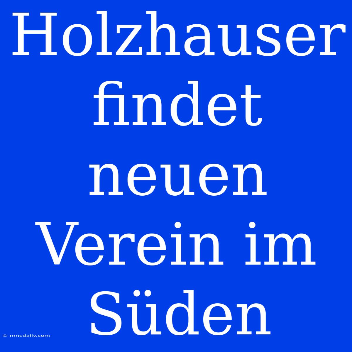 Holzhauser Findet Neuen Verein Im Süden