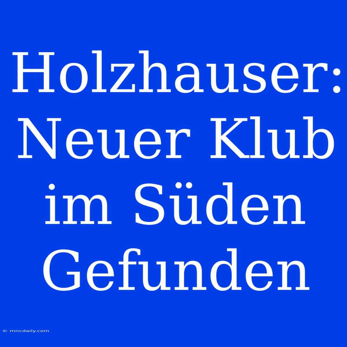 Holzhauser: Neuer Klub Im Süden Gefunden