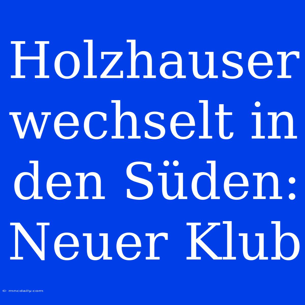 Holzhauser Wechselt In Den Süden: Neuer Klub