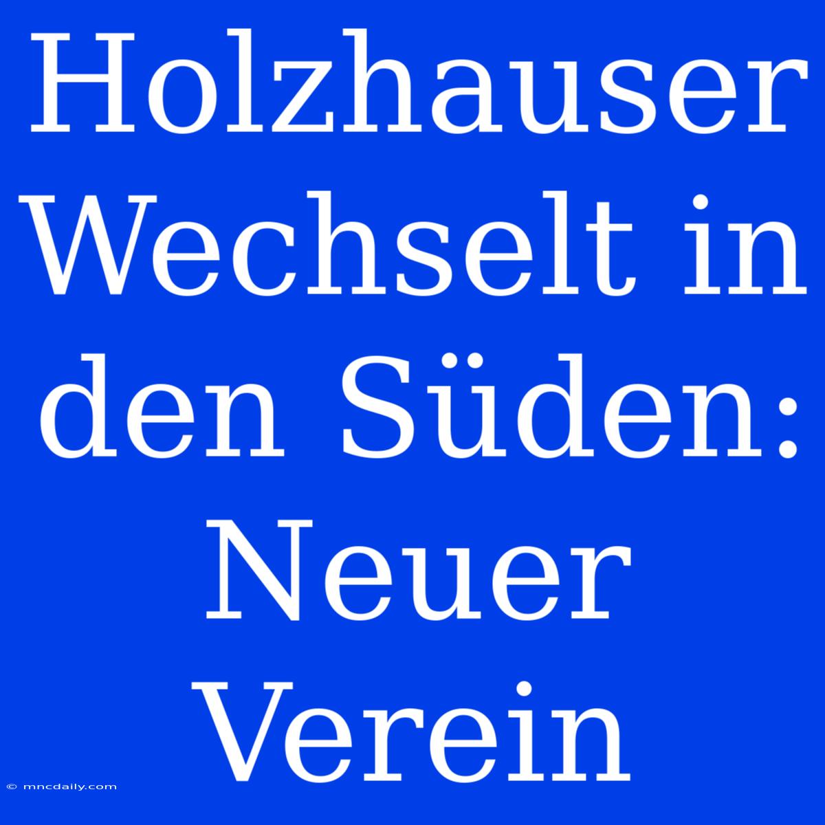 Holzhauser Wechselt In Den Süden: Neuer Verein