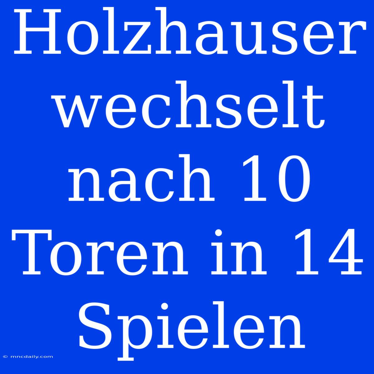 Holzhauser Wechselt Nach 10 Toren In 14 Spielen