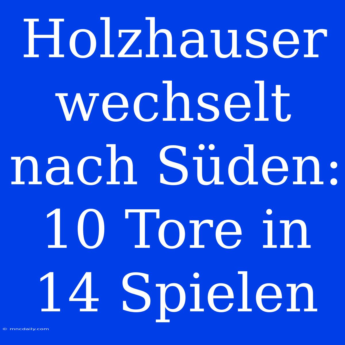 Holzhauser Wechselt Nach Süden: 10 Tore In 14 Spielen