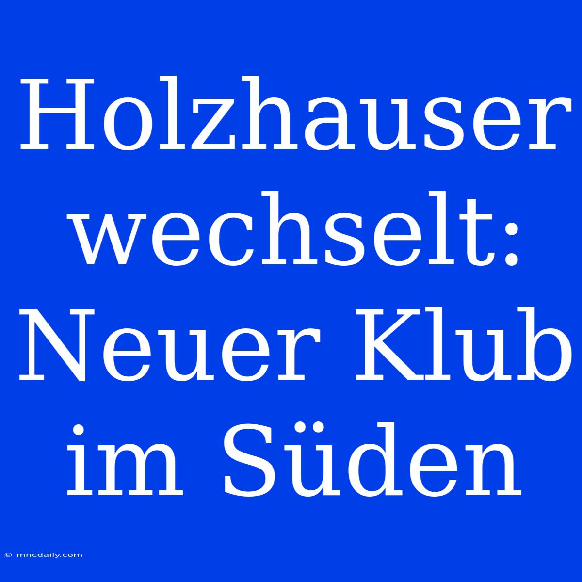 Holzhauser Wechselt: Neuer Klub Im Süden