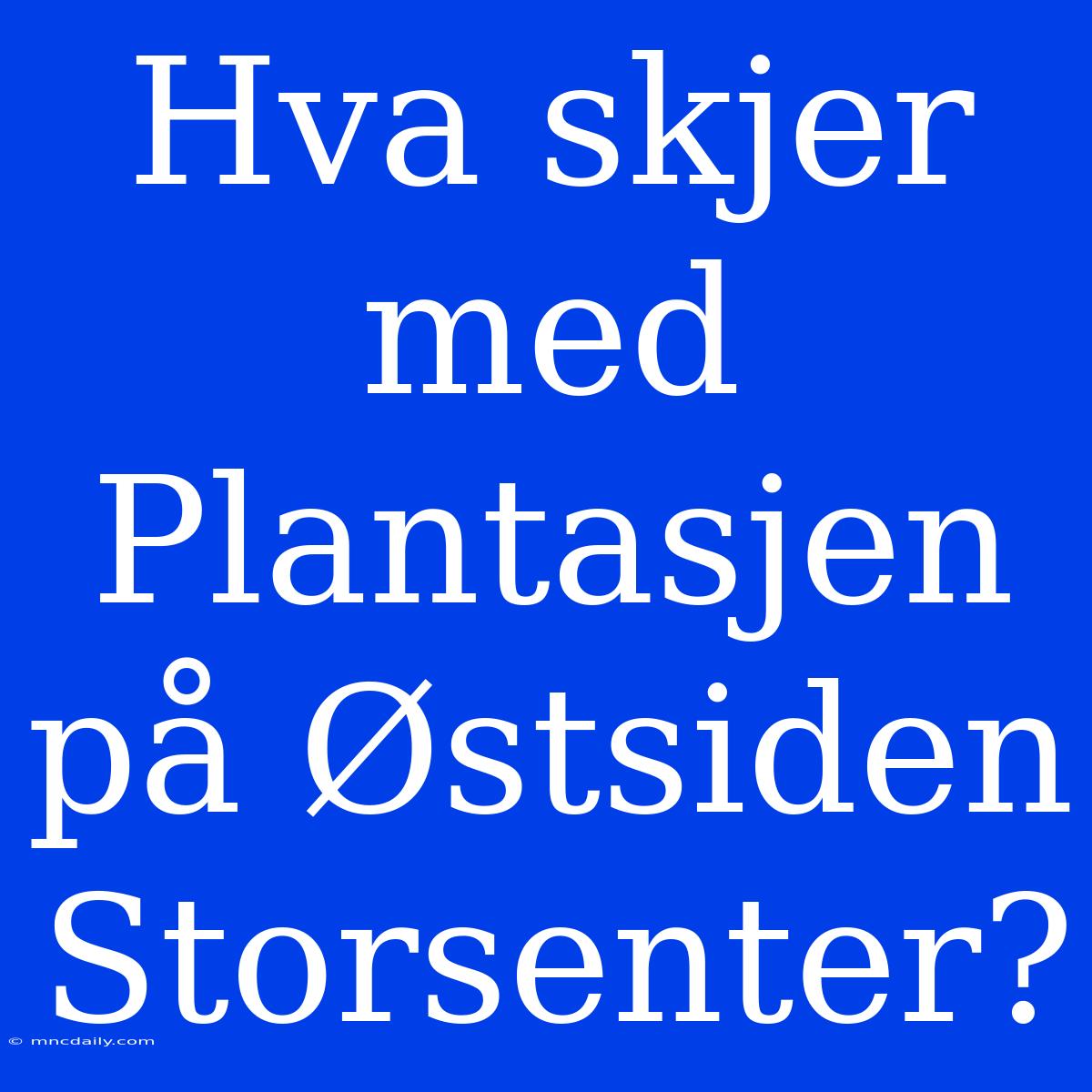 Hva Skjer Med Plantasjen På Østsiden Storsenter? 