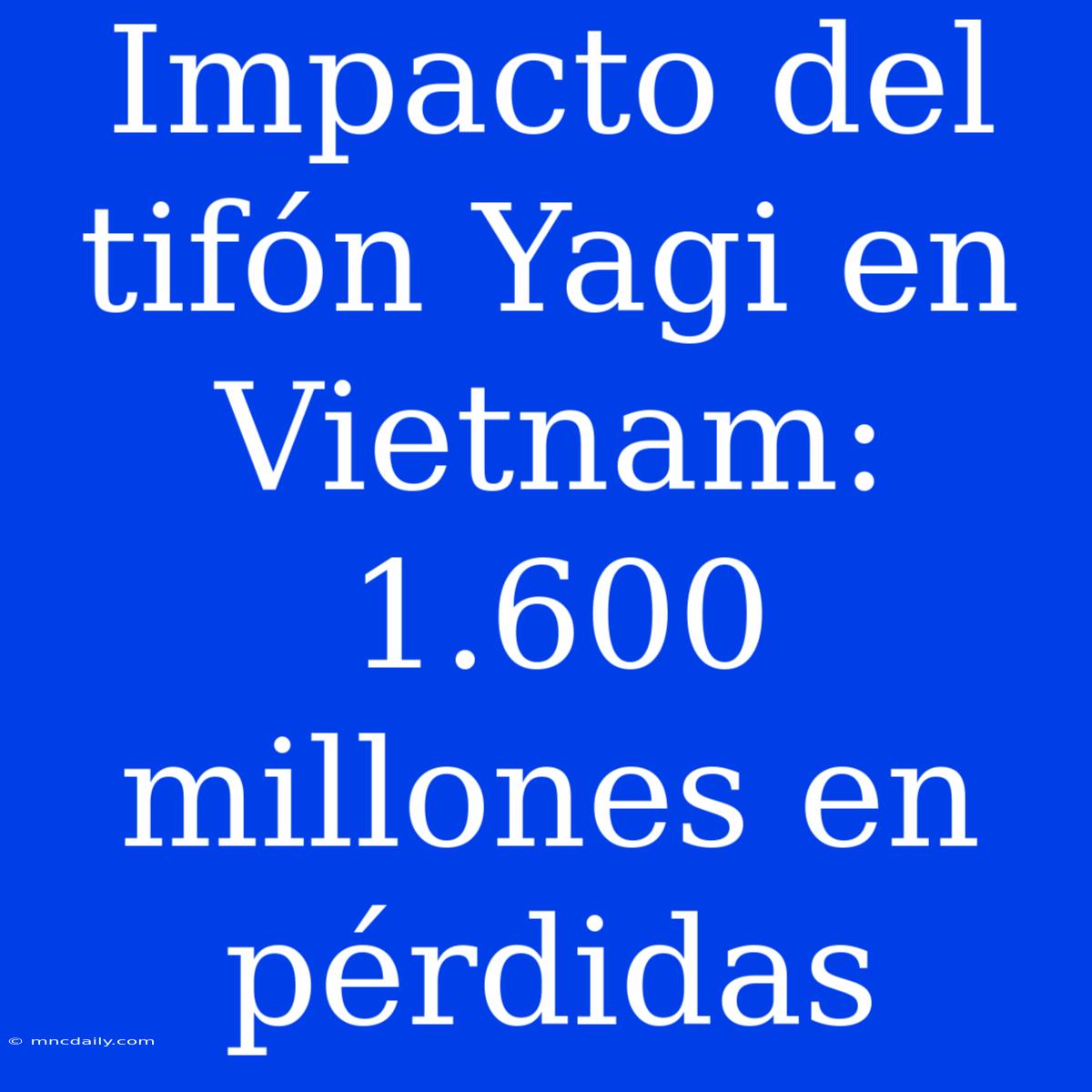 Impacto Del Tifón Yagi En Vietnam: 1.600 Millones En Pérdidas