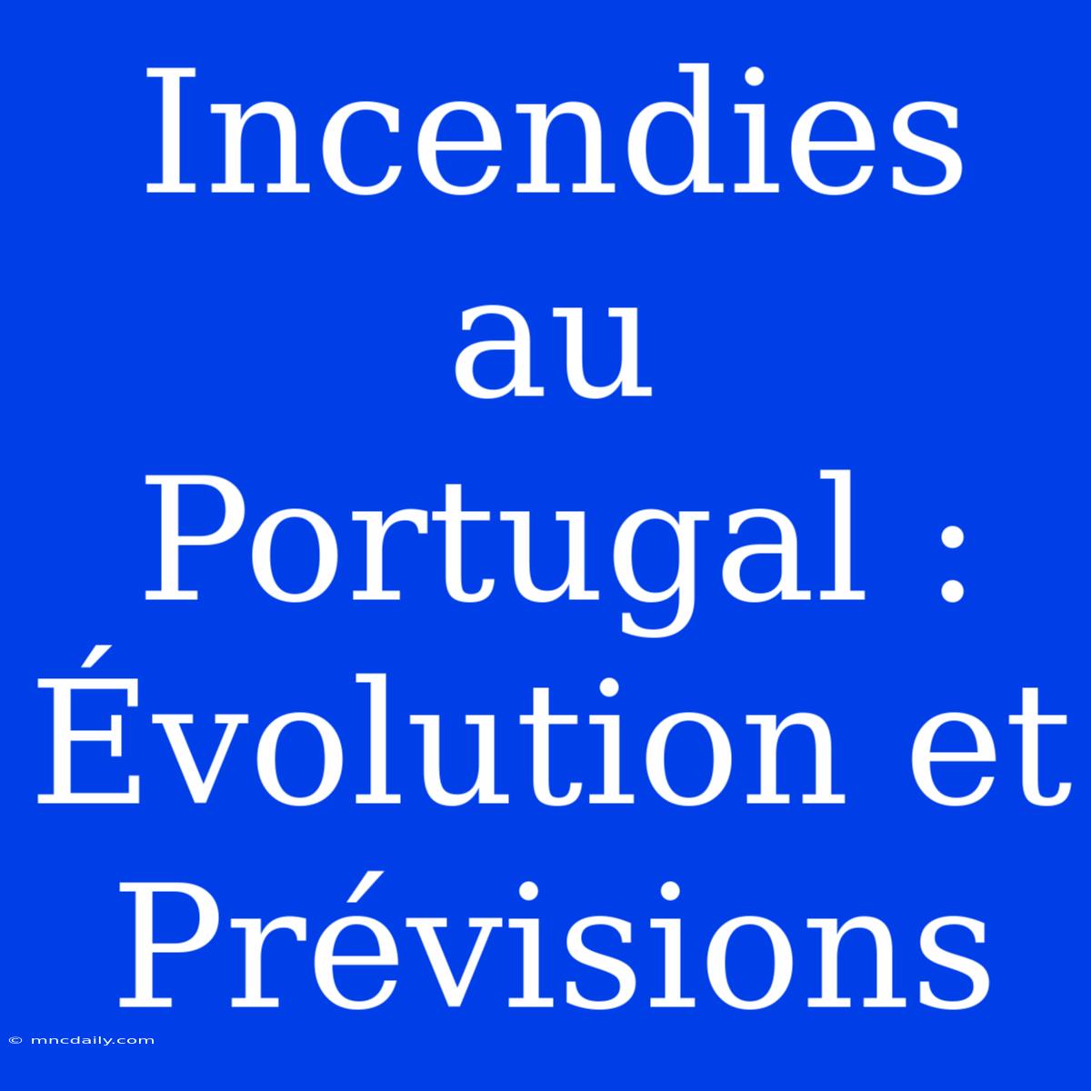 Incendies Au Portugal : Évolution Et Prévisions