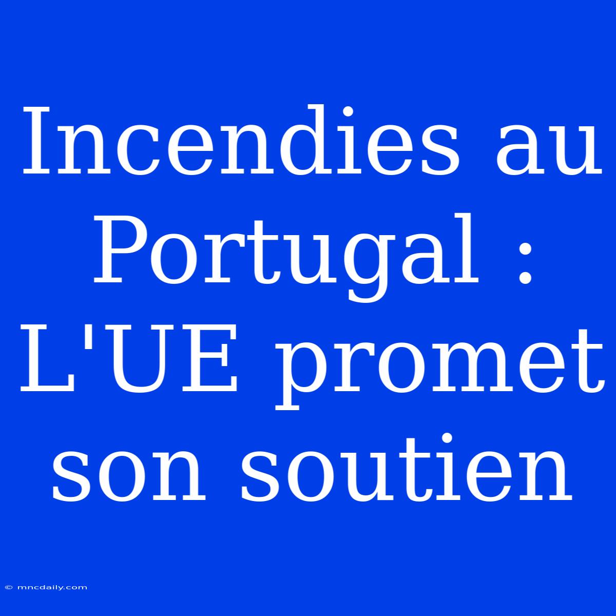 Incendies Au Portugal : L'UE Promet Son Soutien