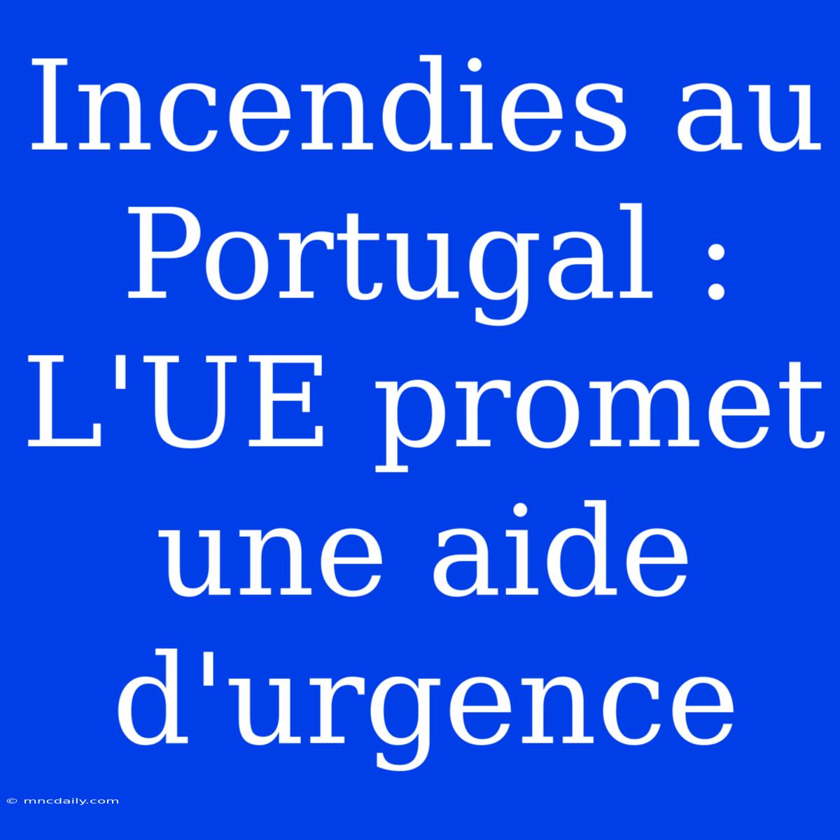 Incendies Au Portugal : L'UE Promet Une Aide D'urgence 