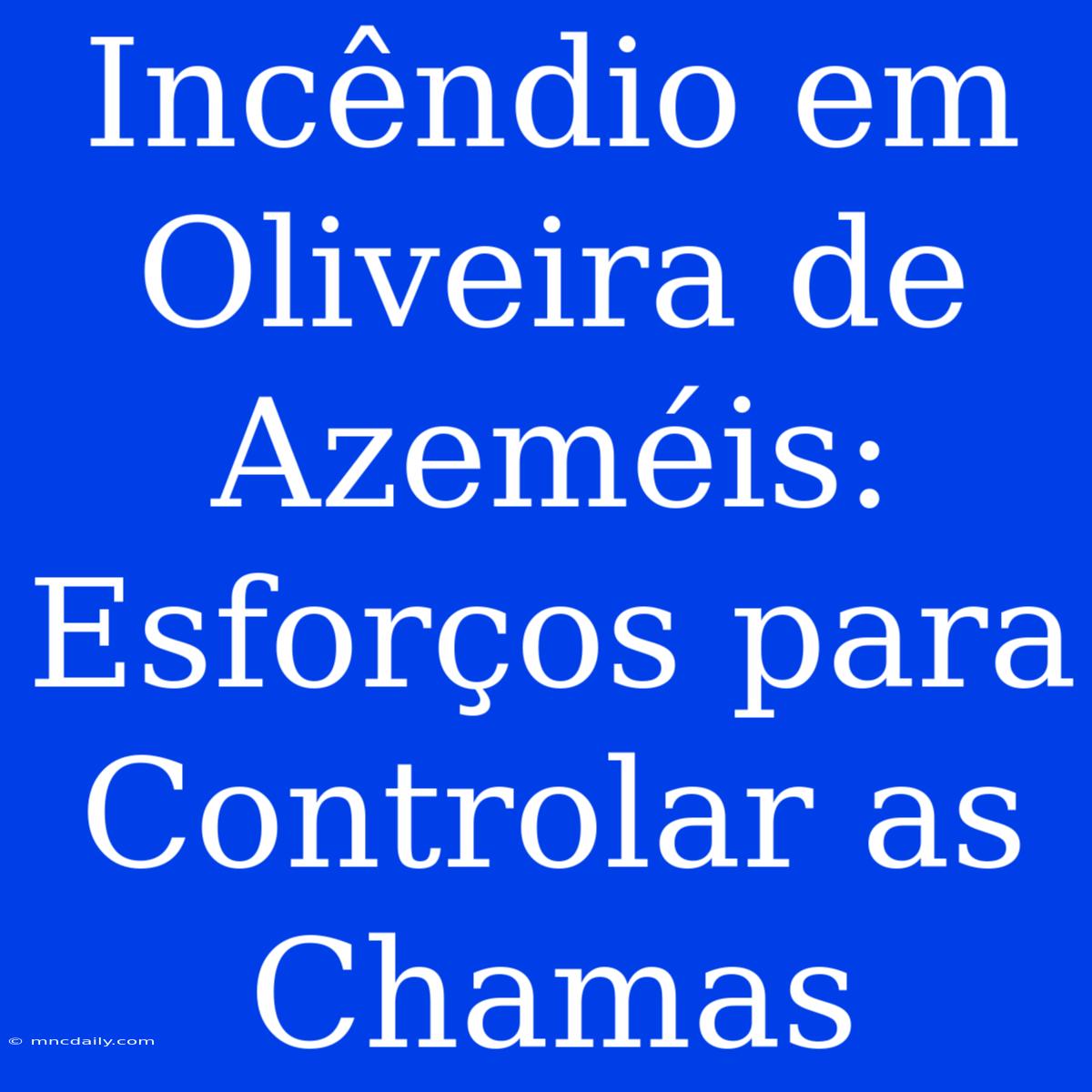 Incêndio Em Oliveira De Azeméis: Esforços Para Controlar As Chamas 