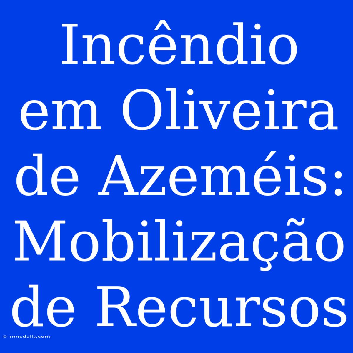 Incêndio Em Oliveira De Azeméis: Mobilização De Recursos