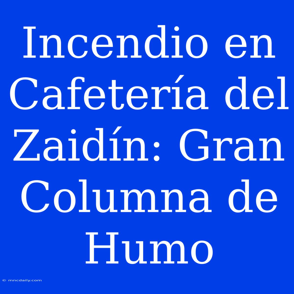 Incendio En Cafetería Del Zaidín: Gran Columna De Humo