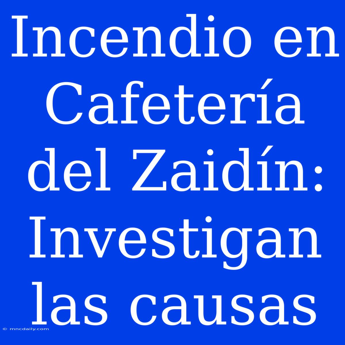 Incendio En Cafetería Del Zaidín: Investigan Las Causas