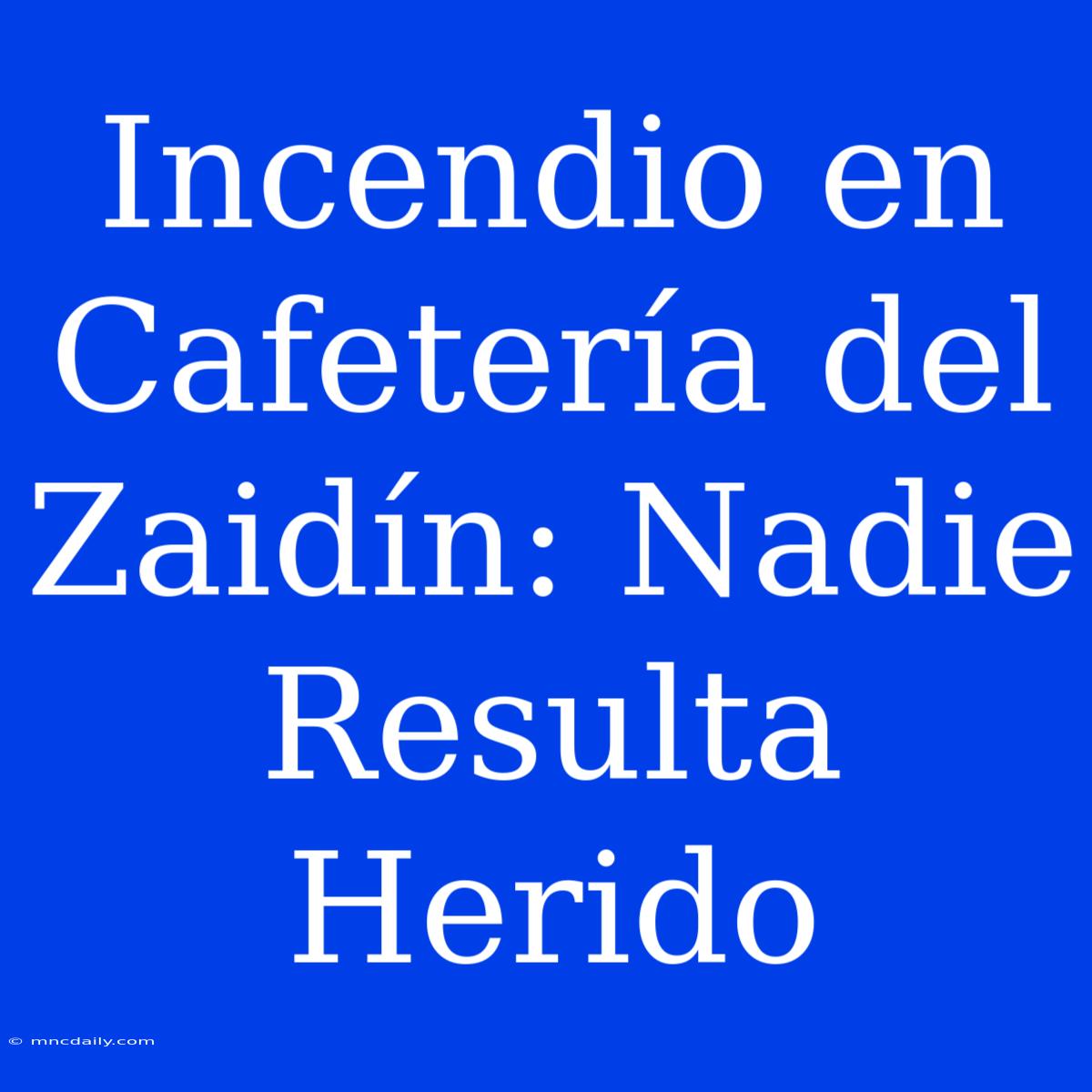 Incendio En Cafetería Del Zaidín: Nadie Resulta Herido