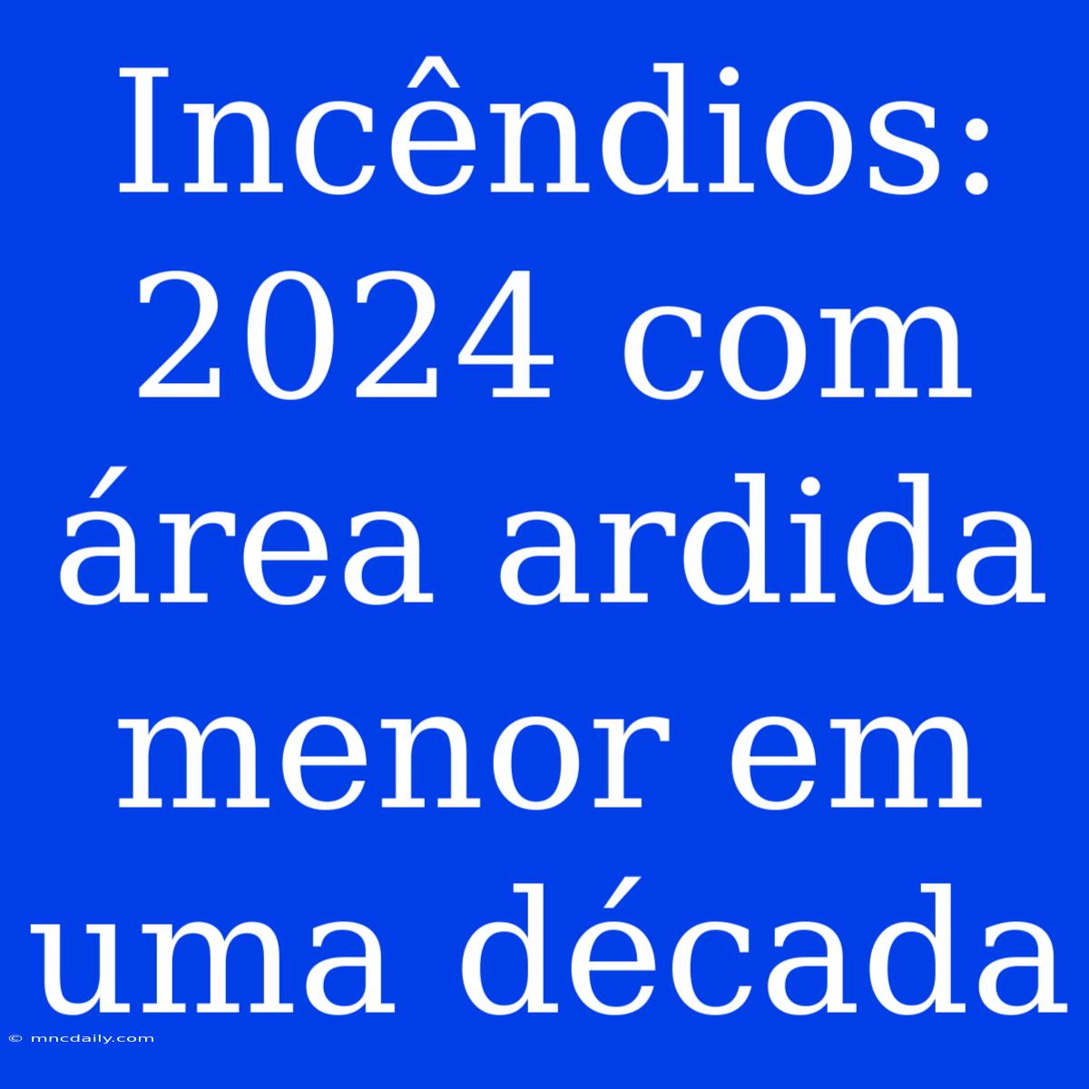 Incêndios: 2024 Com Área Ardida Menor Em Uma Década