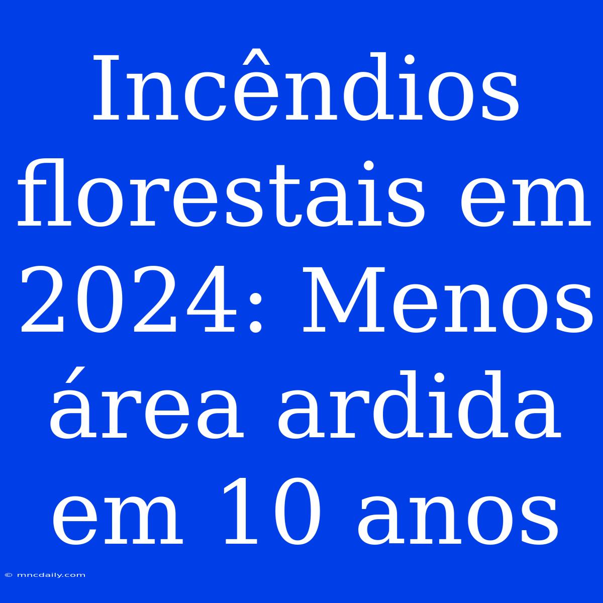 Incêndios Florestais Em 2024: Menos Área Ardida Em 10 Anos