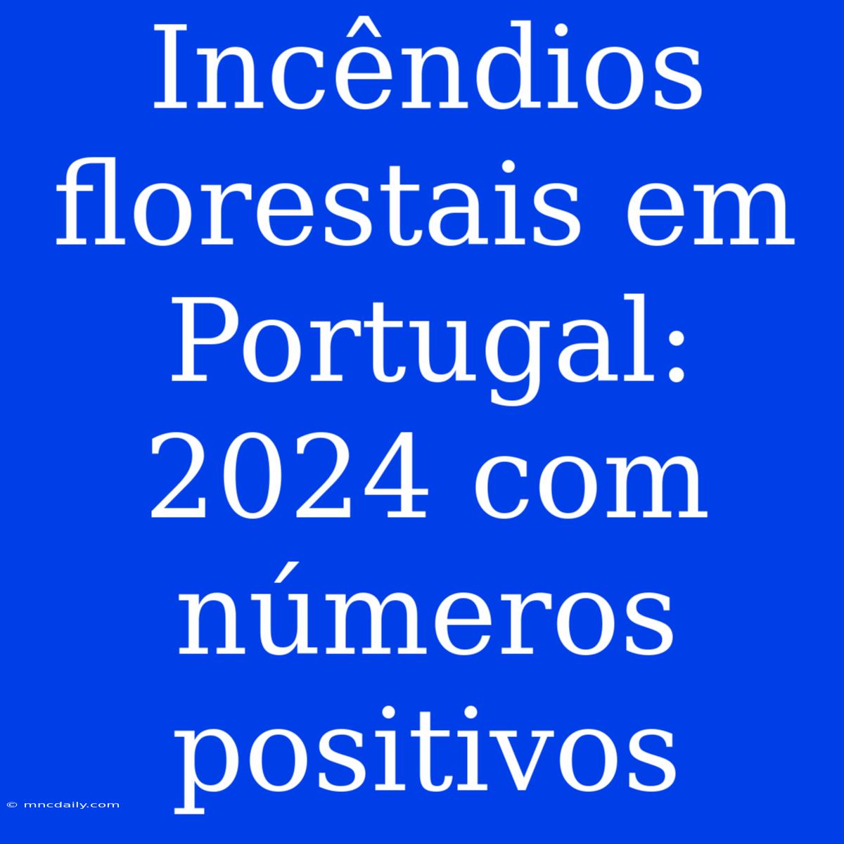 Incêndios Florestais Em Portugal: 2024 Com Números Positivos