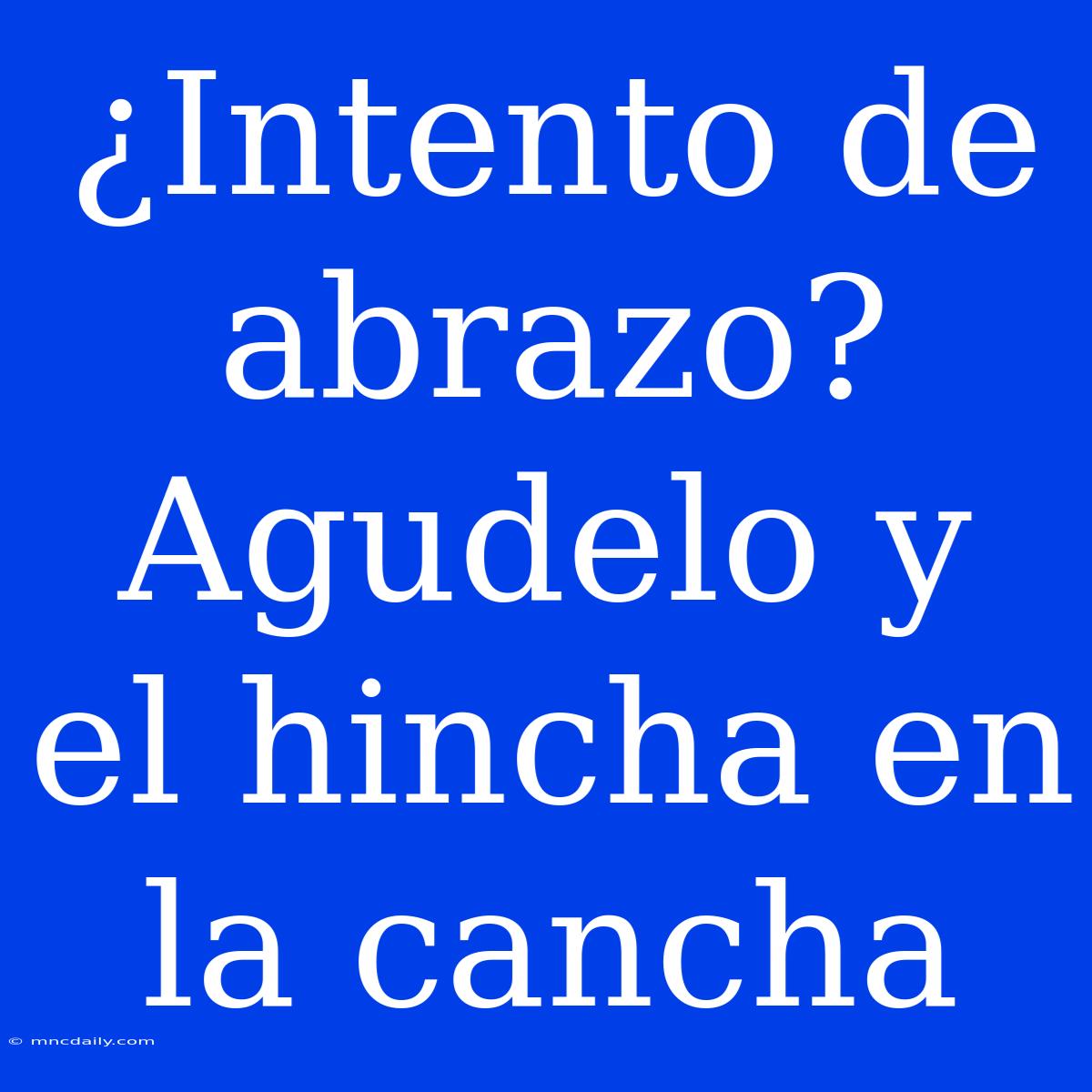 ¿Intento De Abrazo? Agudelo Y El Hincha En La Cancha 