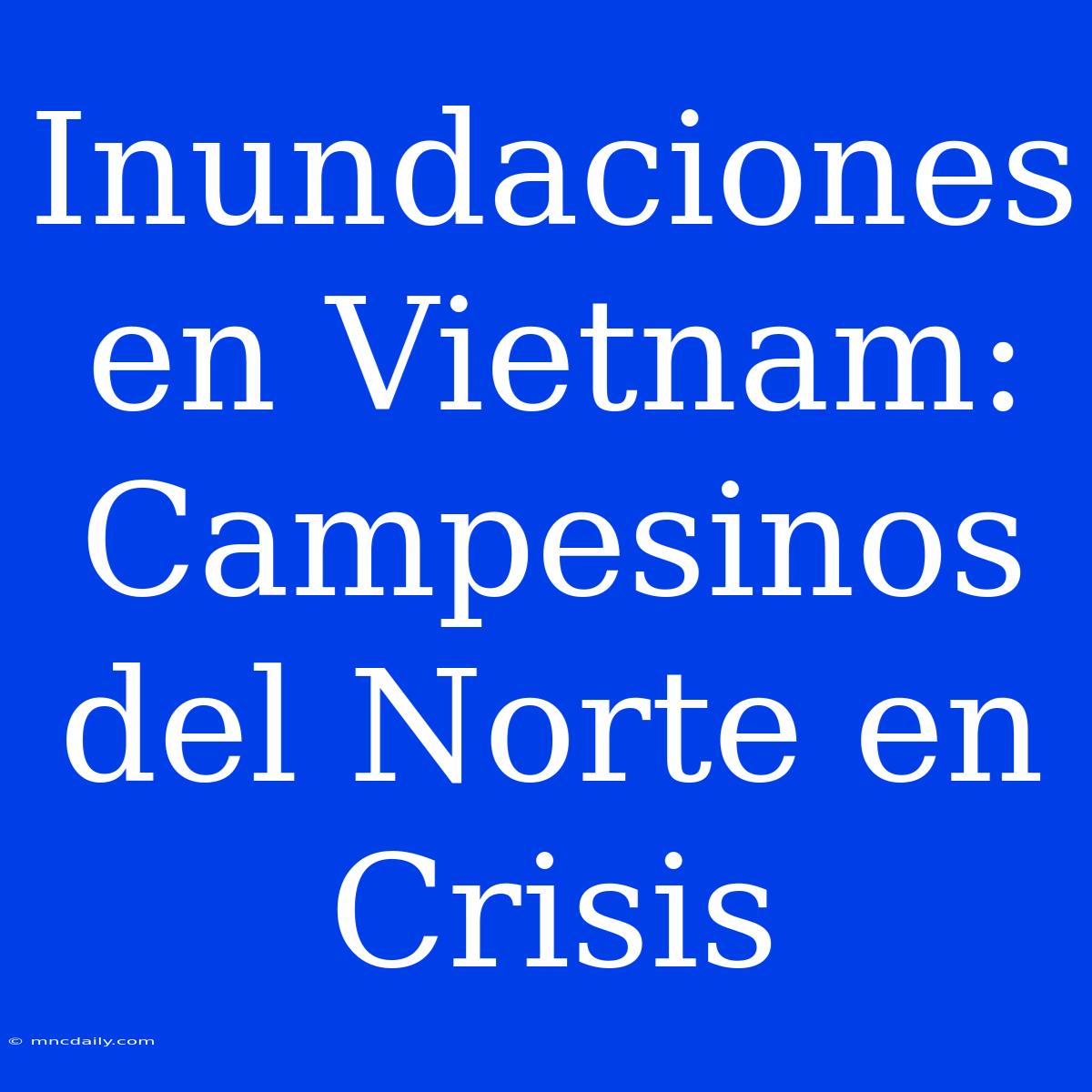 Inundaciones En Vietnam: Campesinos Del Norte En Crisis