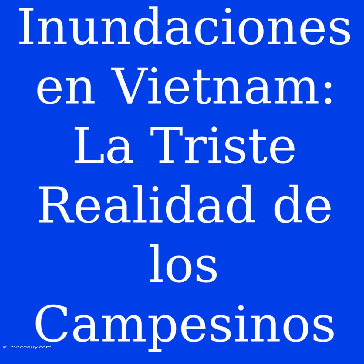 Inundaciones En Vietnam: La Triste Realidad De Los Campesinos