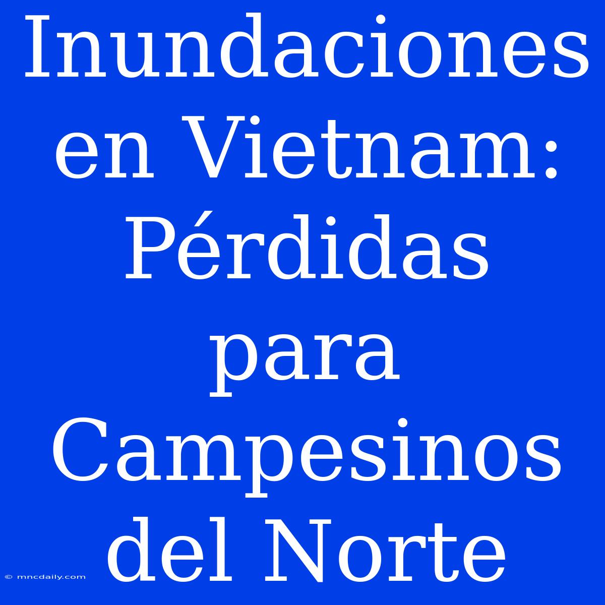 Inundaciones En Vietnam: Pérdidas Para Campesinos Del Norte